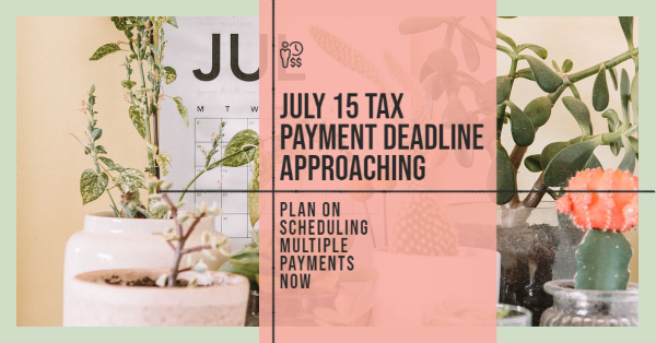 July 15 Tax Payment Deadline Approaching; Plan on Scheduling Multiple Payments Now