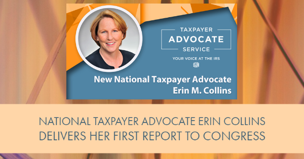 National Taxpayer Advocate Erin Collins Delivers Her First Report to Congress